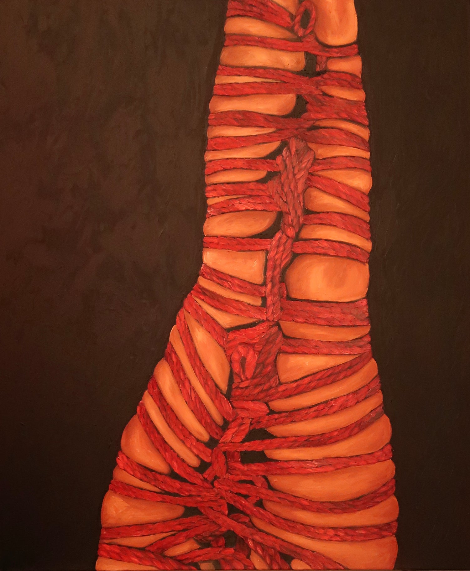 Legs wrapped with red rope against a dark black background. Shibari legs lade tie.